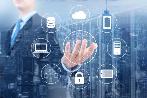 科技公司命名之道 融合創(chuàng)意與數(shù)字文化的內(nèi)容服務(wù)新思維